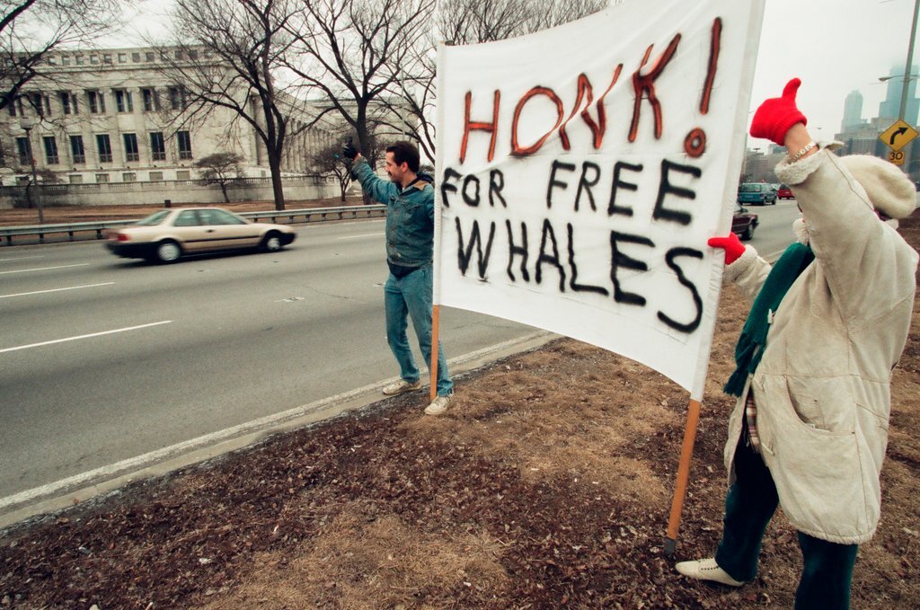 Chicago Animal Rights Coalition protest at Shedd Aquarium - Robert A. Davis for Chicago Sun-Times