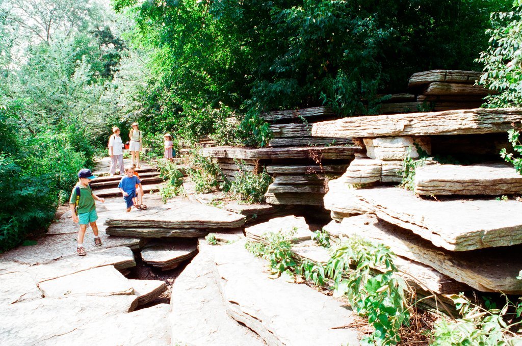 Lincoln Park Rookery - Rich Hein for Chicago Sun-Times