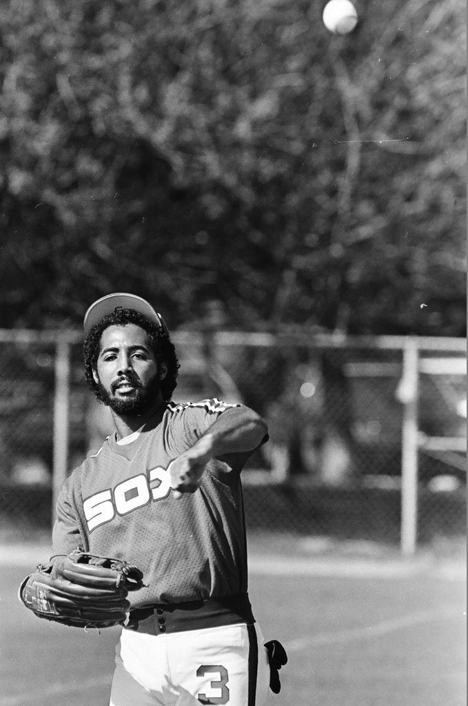 Chicago White Sox training camp - Chicago Sun-Times