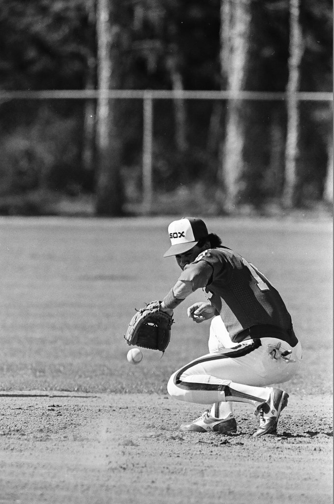 Chicago White Sox training camp - Chicago Sun-Times
