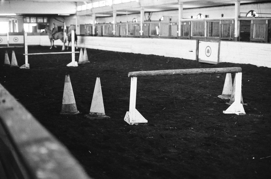 Mounted Chicago Police - Chicago Sun-Times