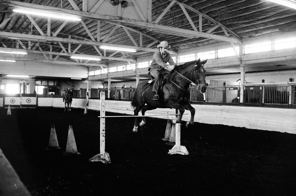 Mounted Chicago Police - Chicago Sun-Times