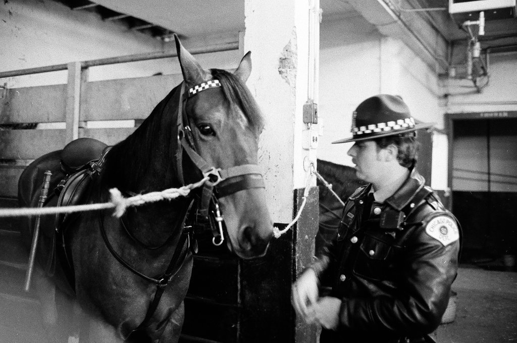 Mounted Chicago Police - Chicago Sun-Times