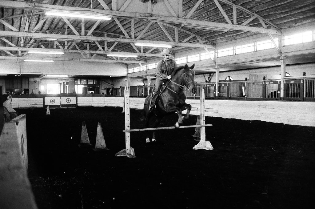 Mounted Chicago Police - Chicago Sun-Times