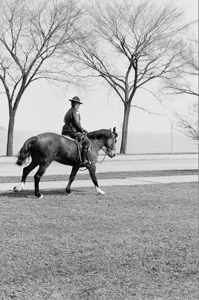Mounted Chicago Police - Chicago Sun-Times