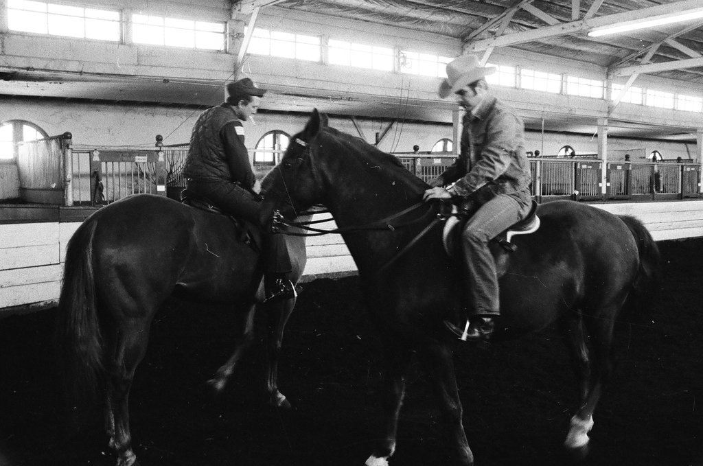 Mounted Chicago Police - Chicago Sun-Times