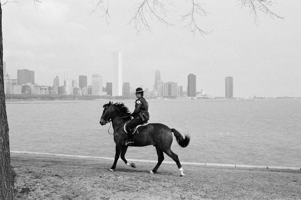Mounted Chicago Police - Chicago Sun-Times