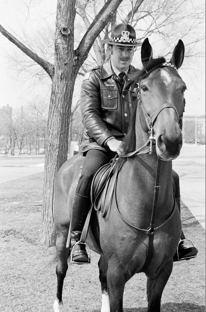Mounted Chicago Police - Chicago Sun-Times