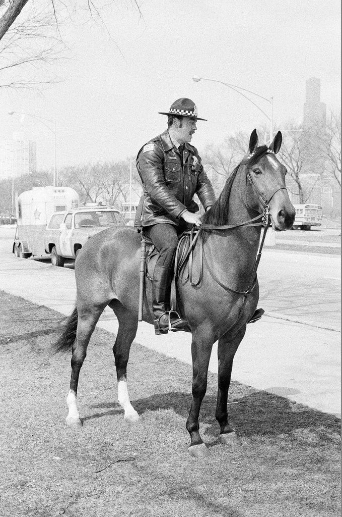 Mounted Chicago Police - Chicago Sun-Times