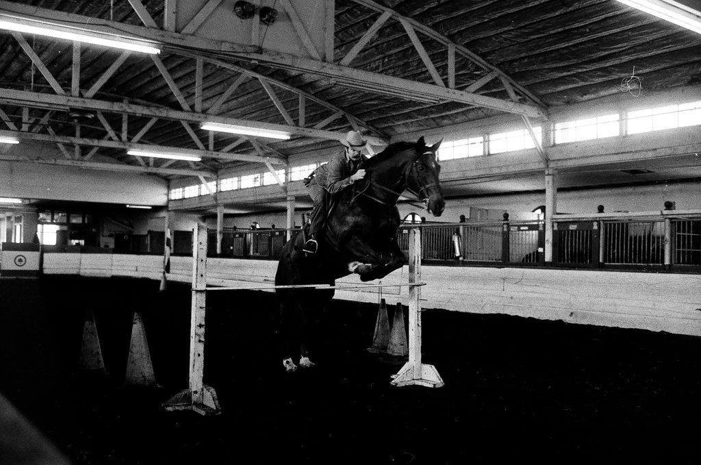 Mounted Chicago Police - Chicago Sun-Times