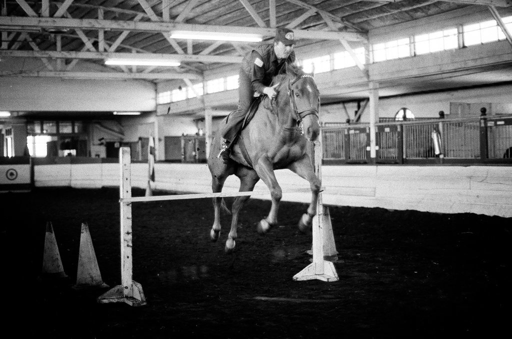 Mounted Chicago Police - Chicago Sun-Times