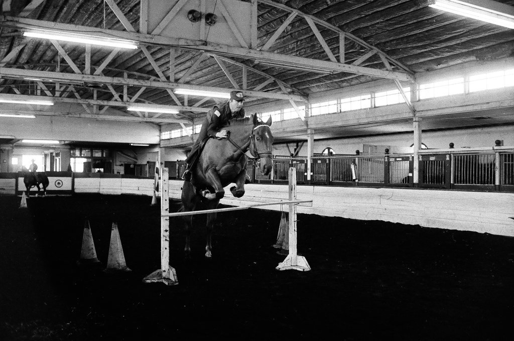 Mounted Chicago Police - Chicago Sun-Times