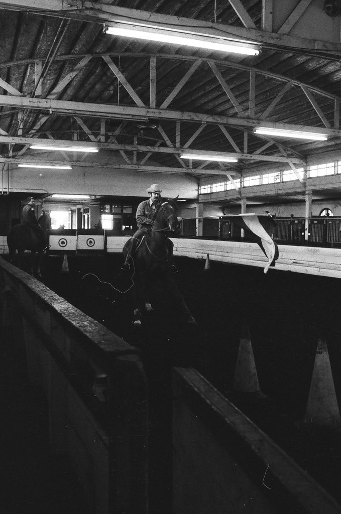 Mounted Chicago Police - Chicago Sun-Times