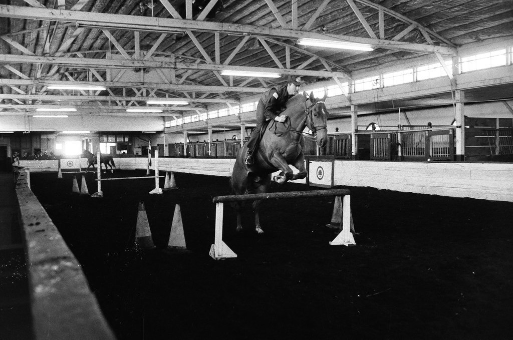 Mounted Chicago Police - Chicago Sun-Times