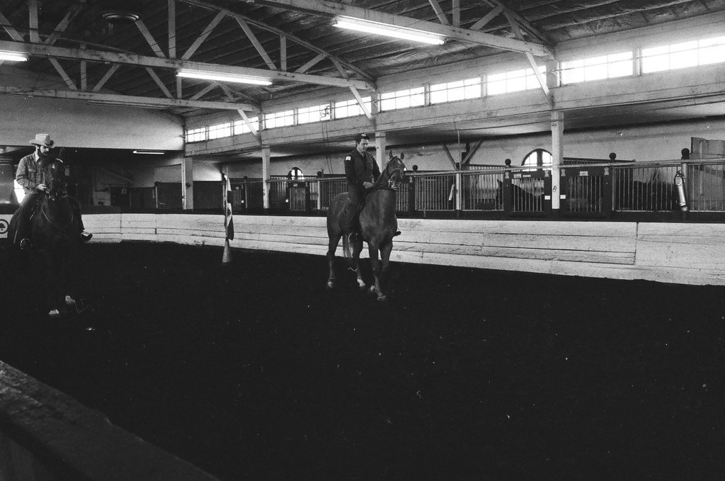 Mounted Chicago Police - Chicago Sun-Times
