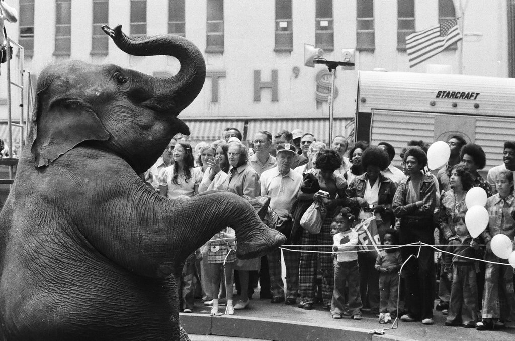 People's Week entertainment on State Street - Perry C. Riddle for Chicago Sun-Times