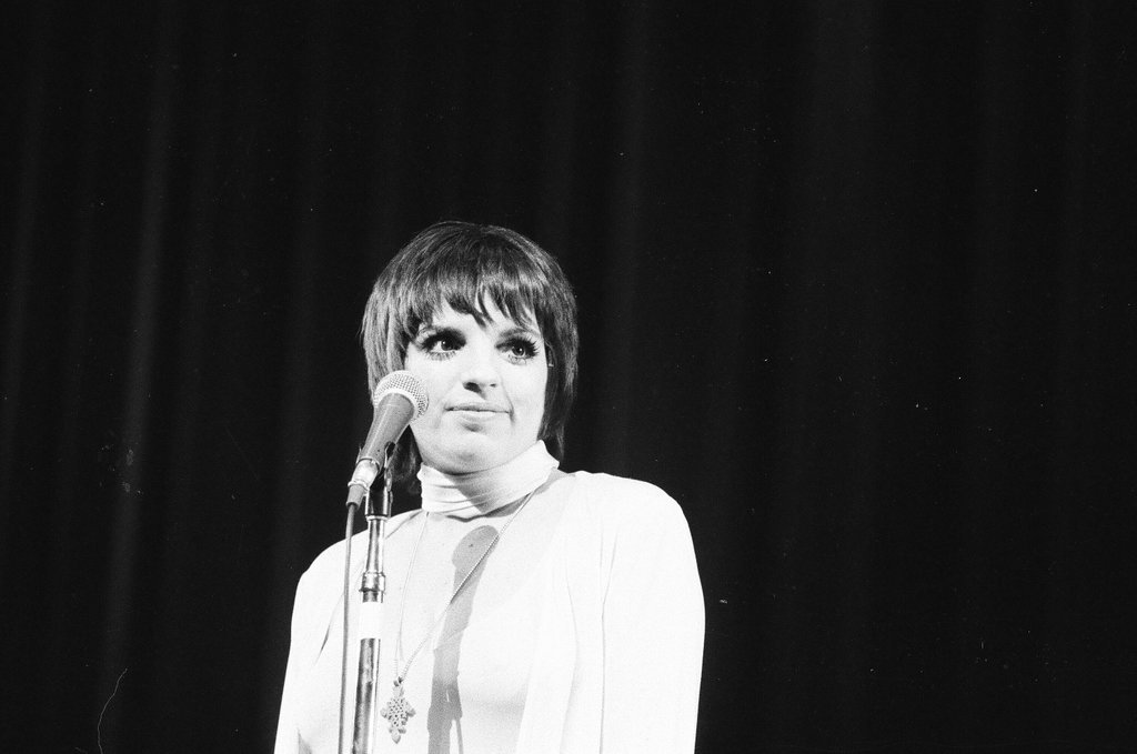 Liza Minnelli performs at Arie Crown Theater - Jack Lenahan for Chicago Sun-Times