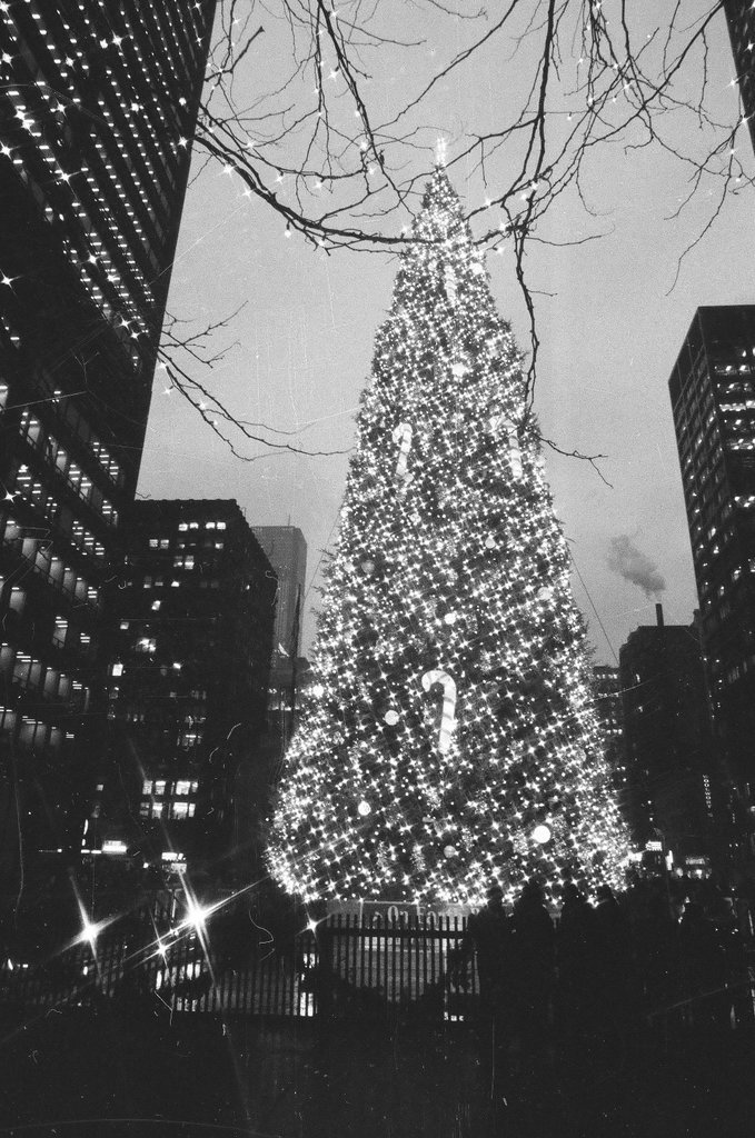 Mayor Daley's grandchildren light the Civic Center Christmas tree - Chicago Sun-Times