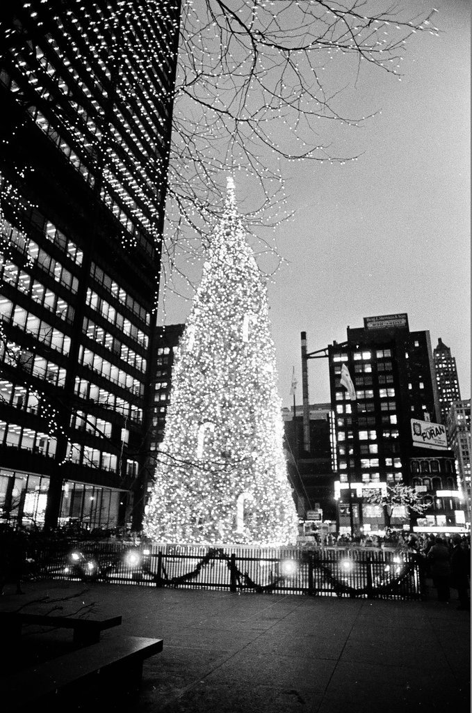 Mayor Daley and grandchildren at Civic Center Christmas tree - Chicago Sun-Times