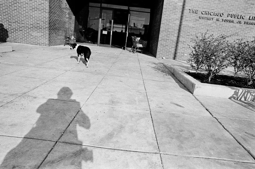 Whitney M. Young, Jr. branch of Chicago Public Library - Chicago Sun-Times