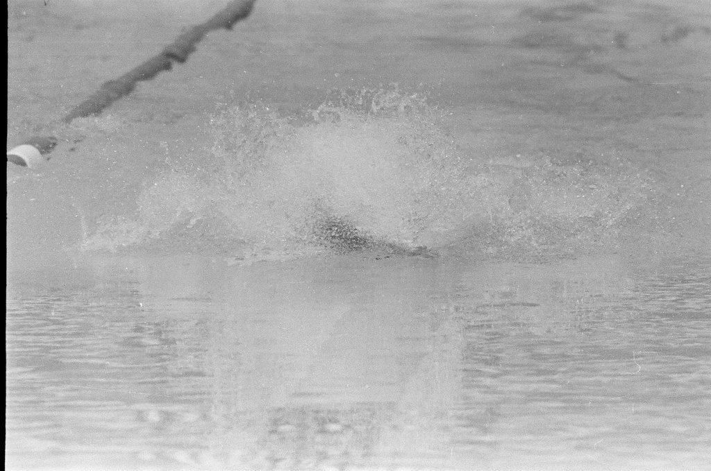 Men and women compete in Olympic swimming trials - Bob Langer for Chicago Sun-Times