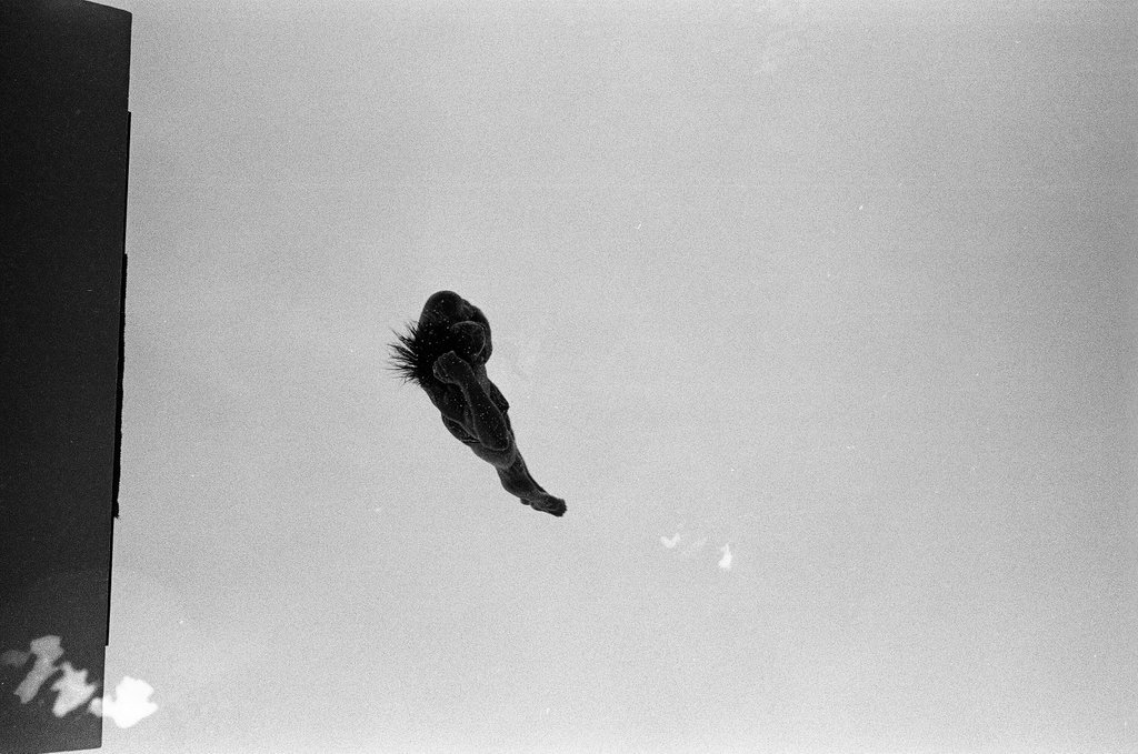 Women competing in Olympic diving trials - Chicago Sun-Times