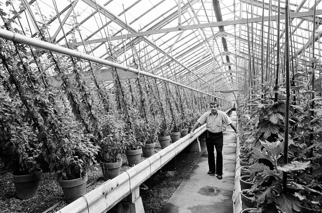 Employees of Garfield Park Conservatory - Chicago Sun-Times