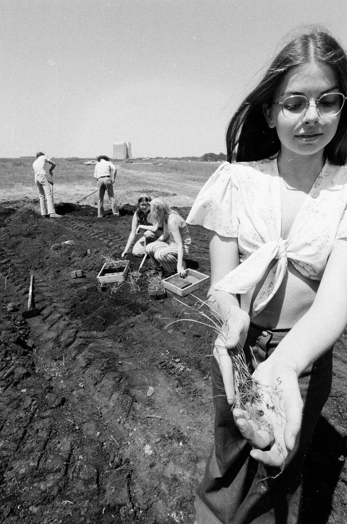 People planting prairie grasses - Randy B. Leffingwell for Chicago Sun-Times