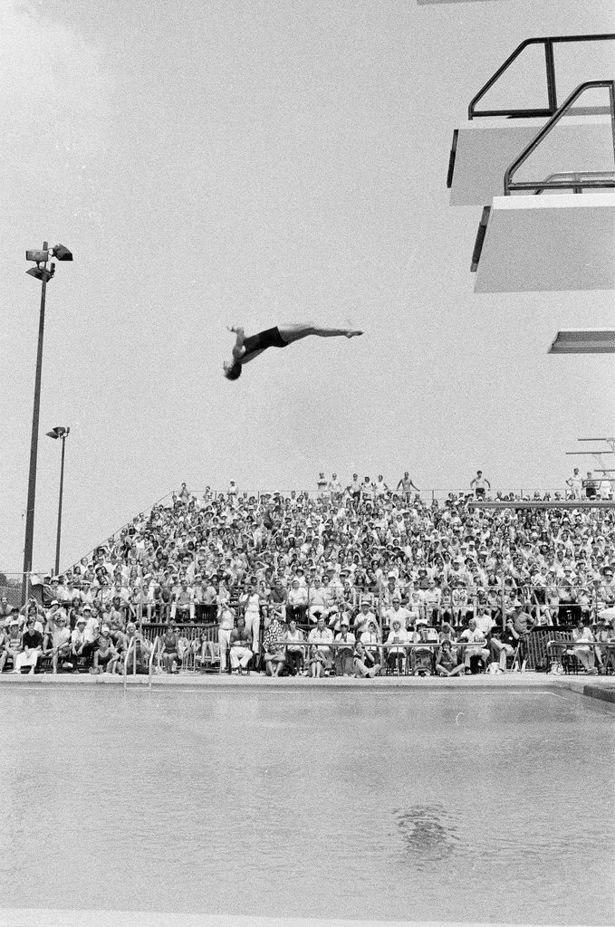 Men and women divers at Olympic trials - Chicago Sun-Times