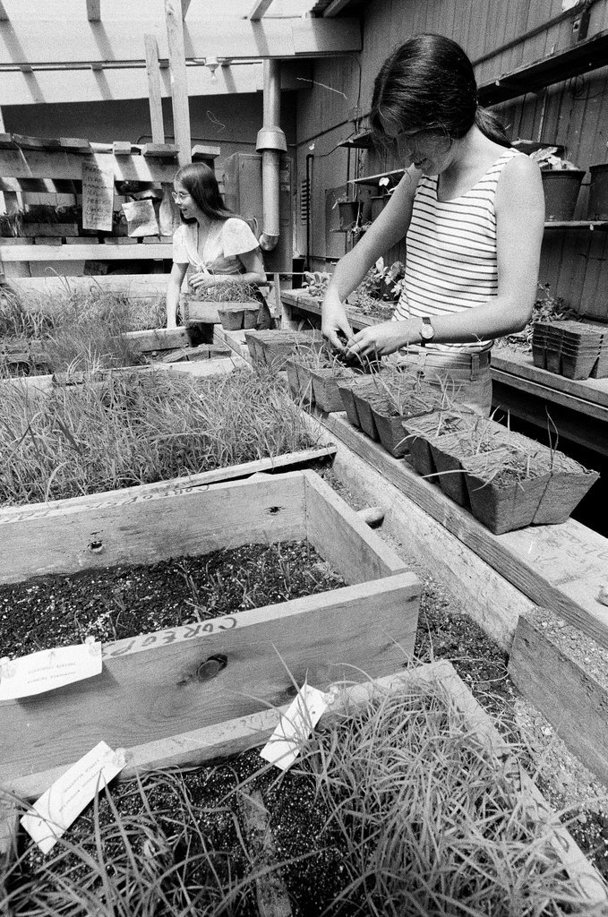 People planting prairie grasses - Randy B. Leffingwell for Chicago Sun-Times