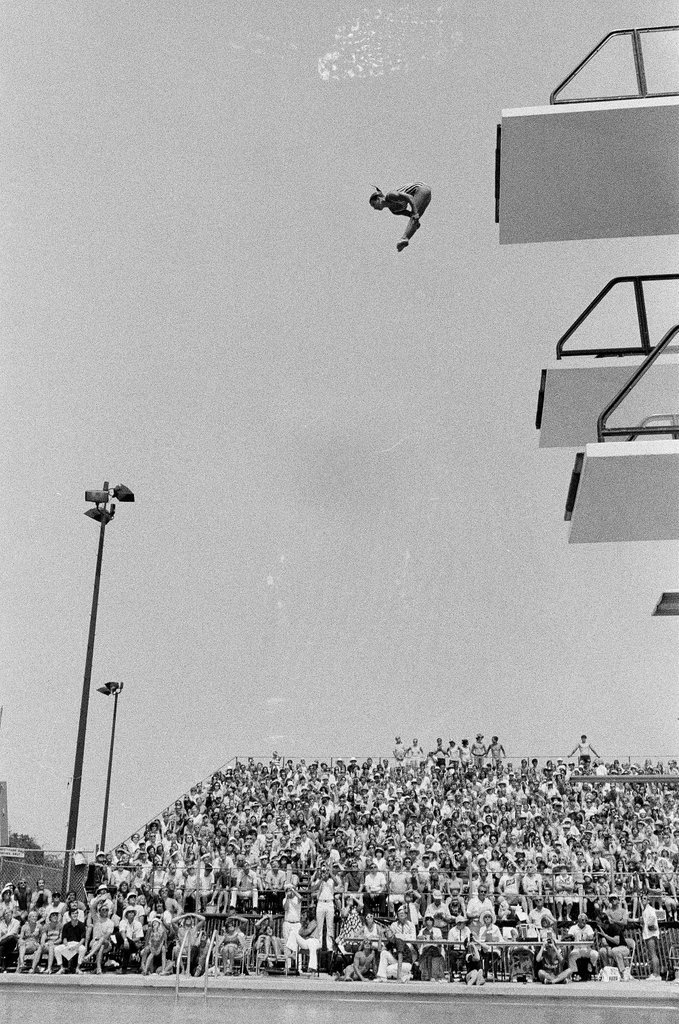 Men and women divers at Olympic trials - Chicago Sun-Times