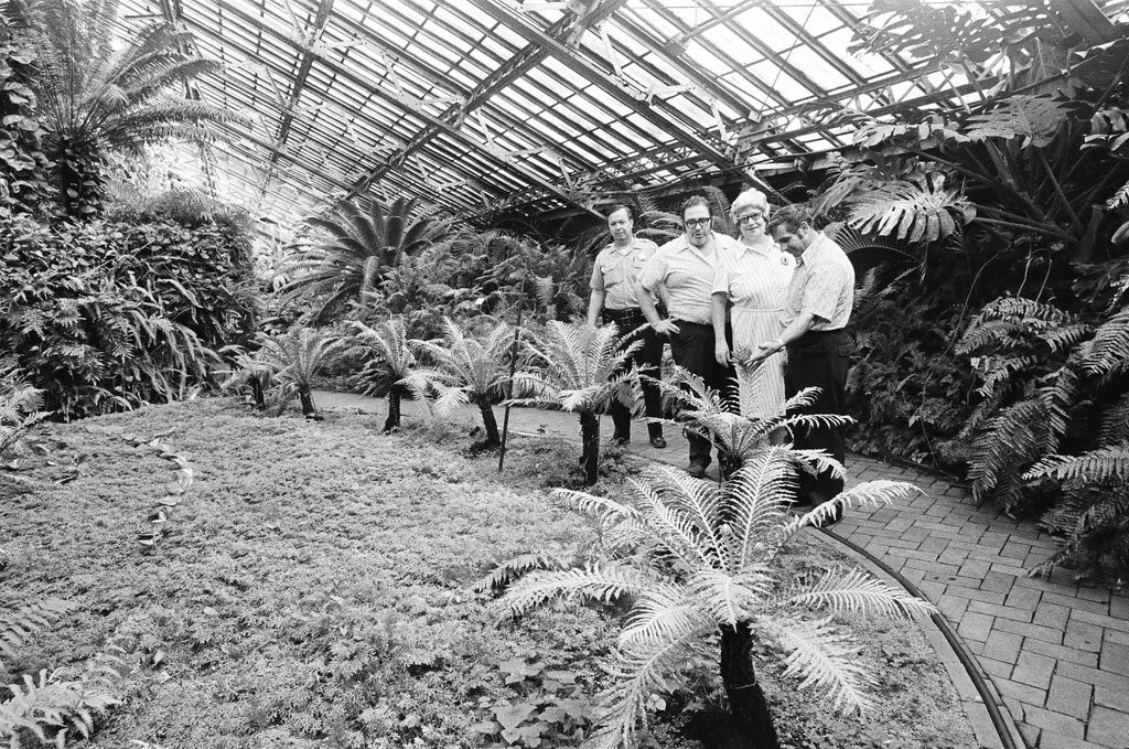 Employees of Garfield Park Conservatory - Chicago Sun-Times