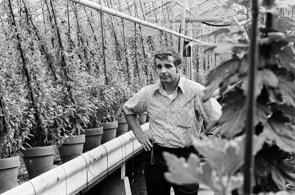 Employees of Garfield Park Conservatory - Chicago Sun-Times