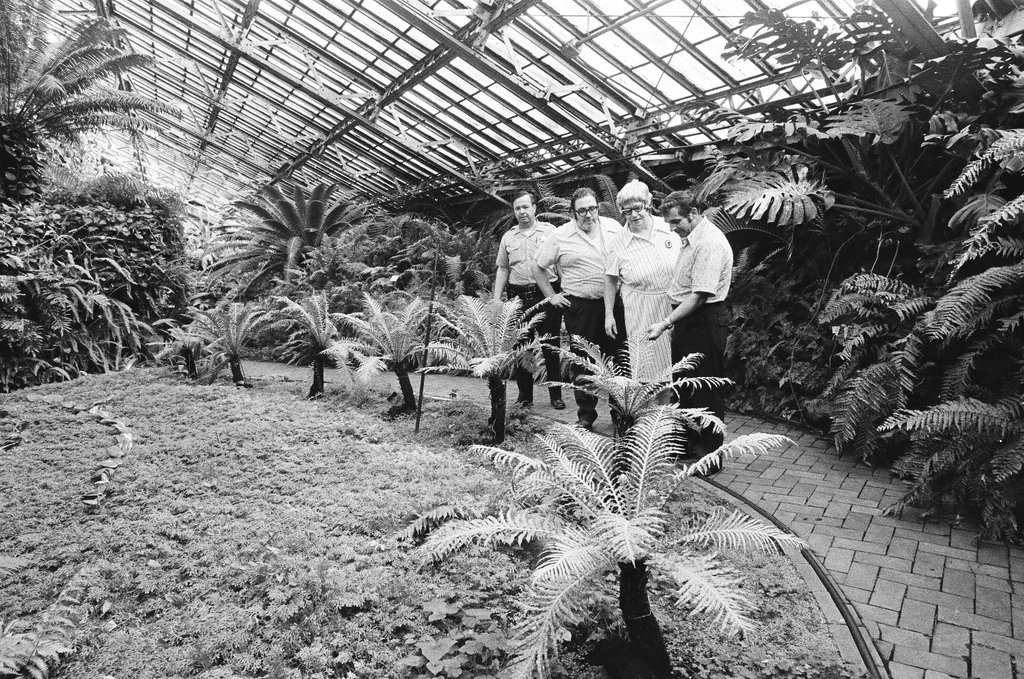 Employees of Garfield Park Conservatory - Chicago Sun-Times