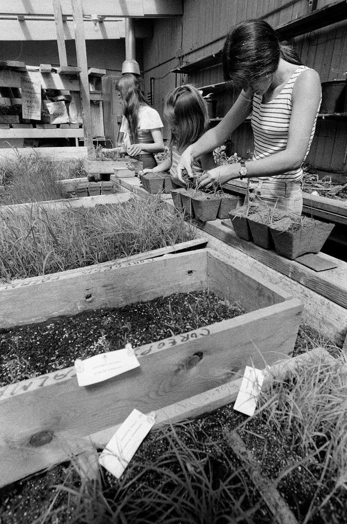 People planting prairie grasses - Randy B. Leffingwell for Chicago Sun-Times