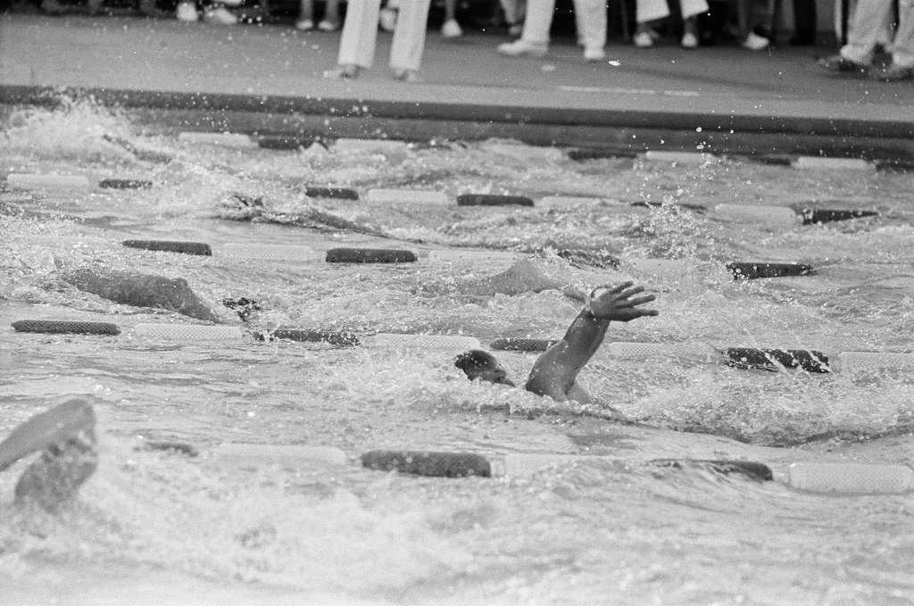 Men and women compete in Olympic swimming trials - Chicago Sun-Times