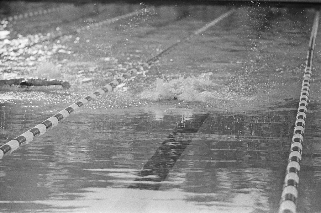 Men and women compete in Olympic swimming trials - Chicago Sun-Times