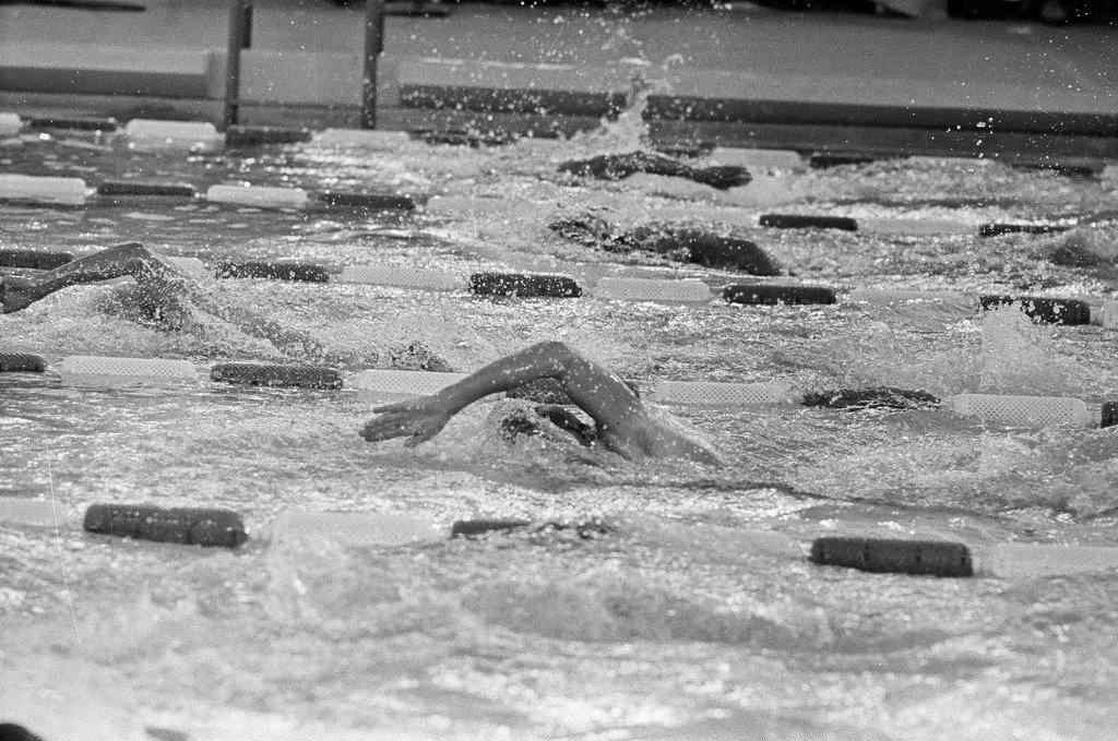 Men and women compete in Olympic swimming trials - Chicago Sun-Times