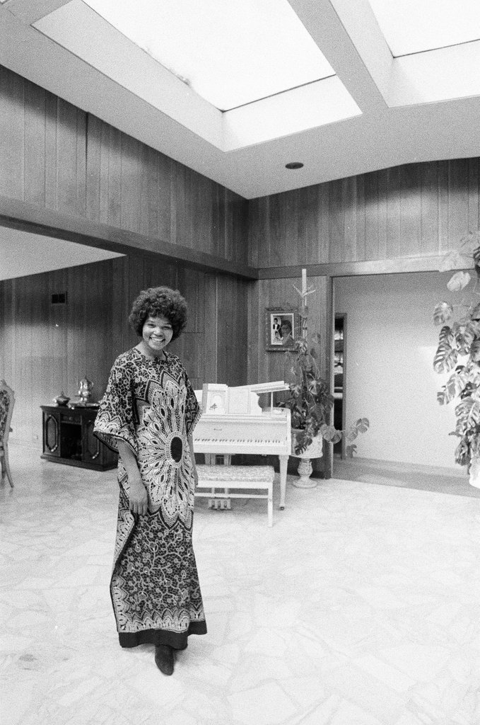 Homeowners in Chatham Park - Perry C. Riddle for Chicago Sun-Times