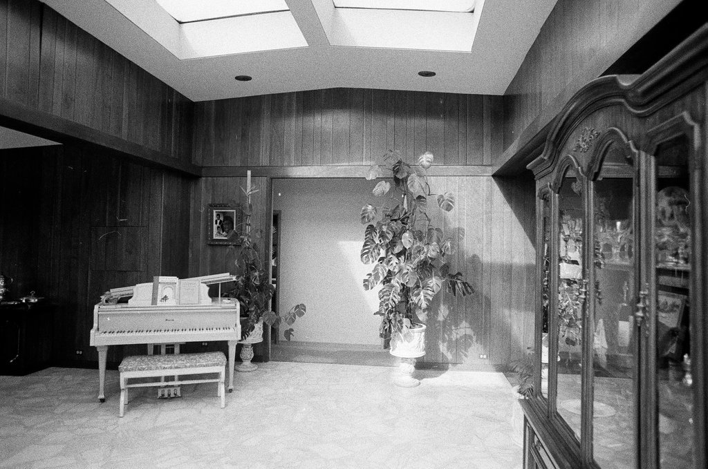 Homeowners in Chatham Park - Perry C. Riddle for Chicago Sun-Times