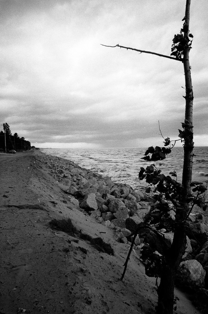 Indiana lake shore - Gene Pesek for Chicago Sun-Times