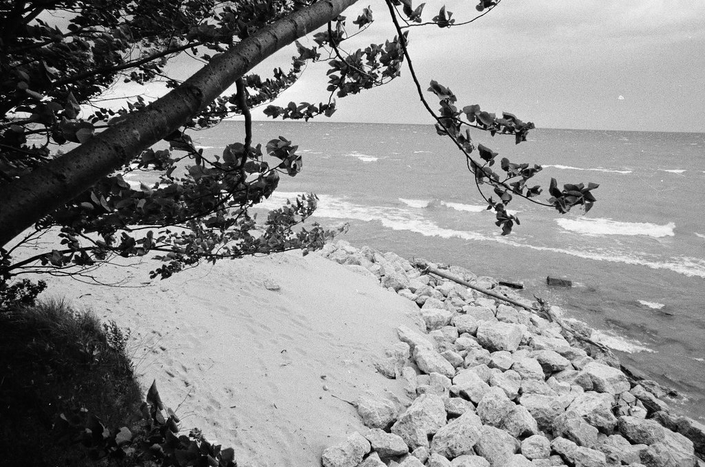 Indiana lake shore - Gene Pesek for Chicago Sun-Times
