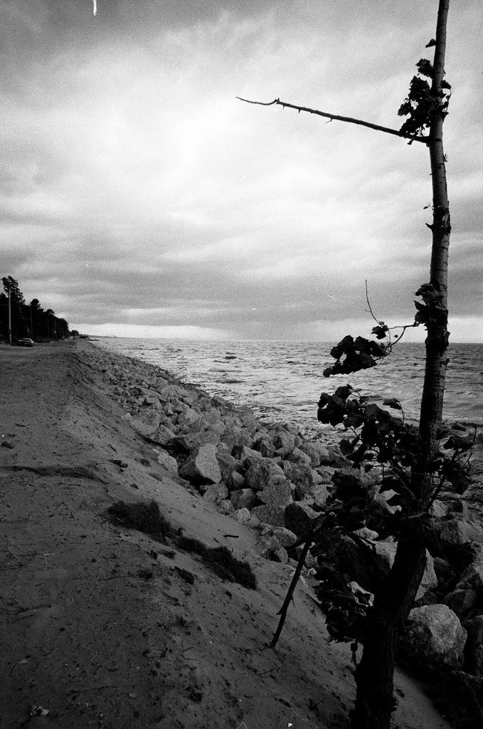 Indiana lake shore - Gene Pesek for Chicago Sun-Times