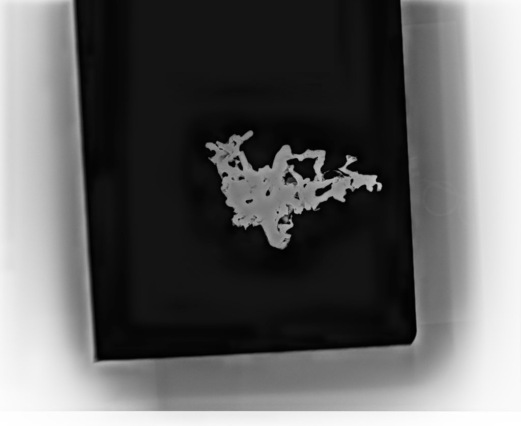 X-ray image of fused metal pins from Chicago Fire of 1871