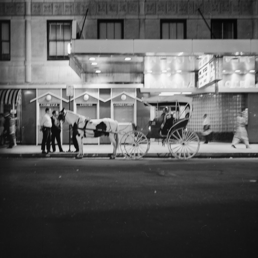Horse and carriage at night - Deutch, Stephen
