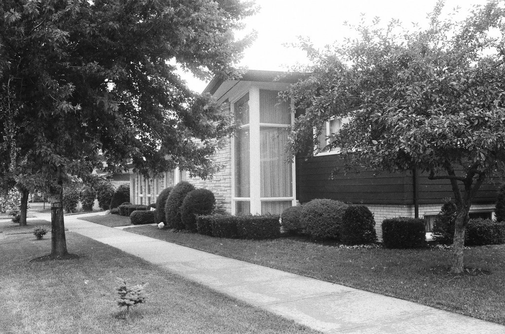 Ashburn neighborhood scenes - M. Leon Lopez for Chicago Sun-Times