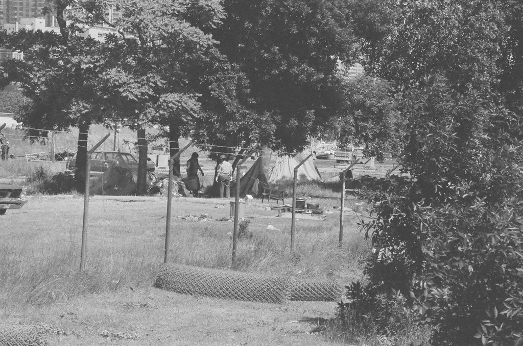 Native American activists at Belmont Harbor - Howard Lyon for Chicago Sun-Times
