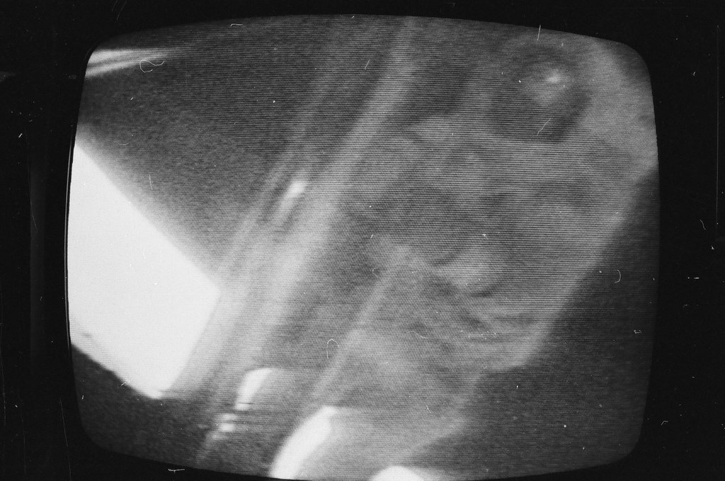 Apollo 14 astronauts - Howard Lyon for Chicago Sun-Times
