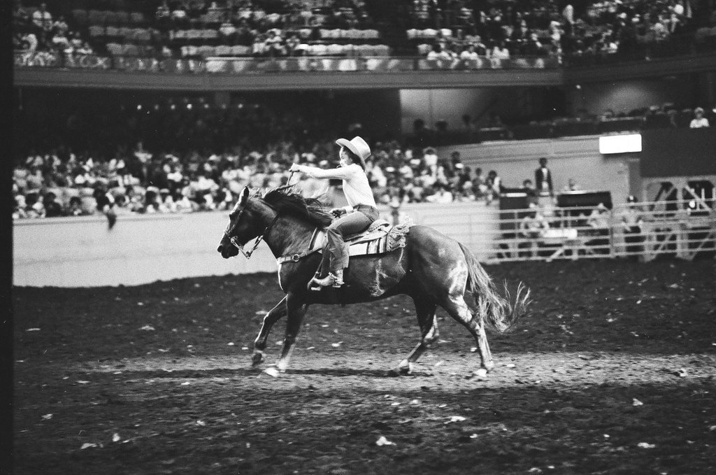 Black cowboys participate in rodeo at the International Amphitheatre - Howard D. Simmons for Chicago Sun-Times
