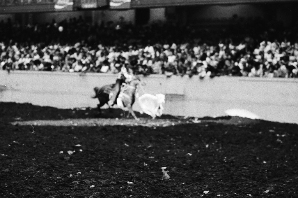 Black cowboys participate in rodeo at the International Amphitheatre - Howard D. Simmons for Chicago Sun-Times